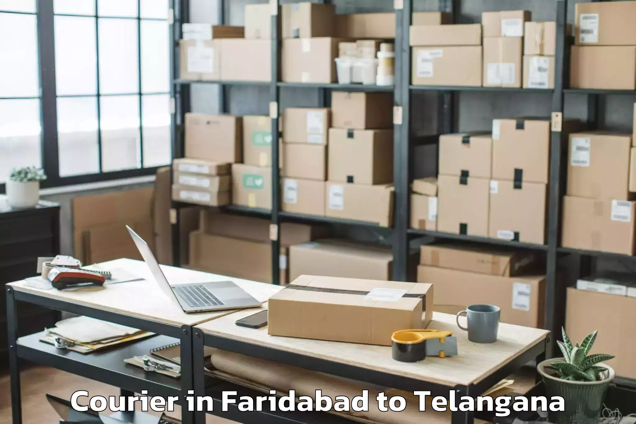 Book Faridabad to Nereducharla Courier